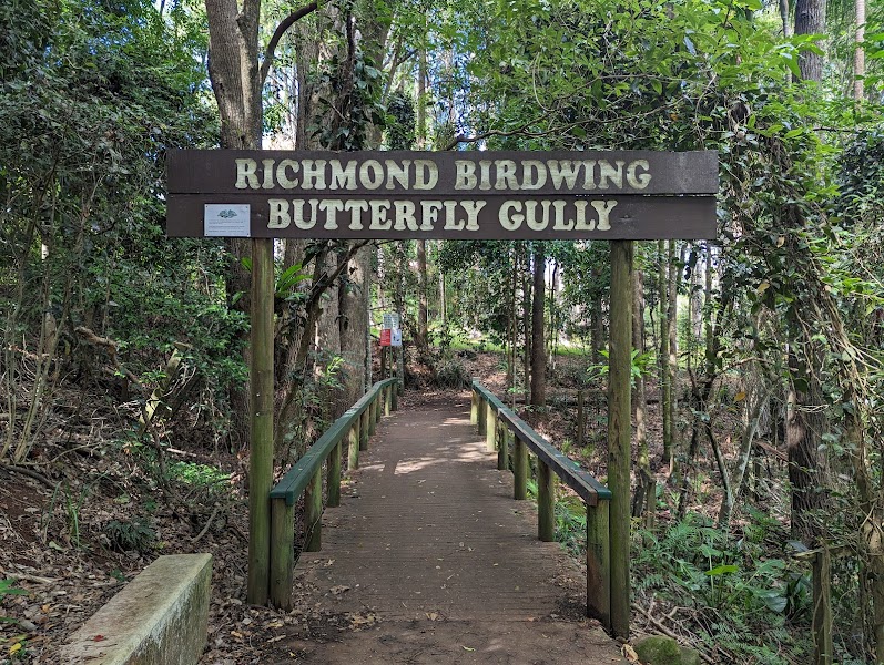 Richmond Birdwing Butterfly Gully in Lismore, Australia