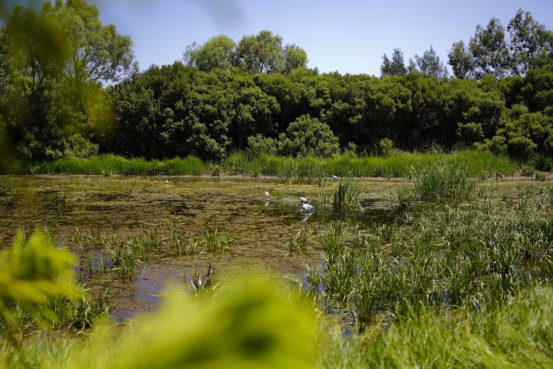 Sanctuary Drive Reserve in Adelaide, Australia