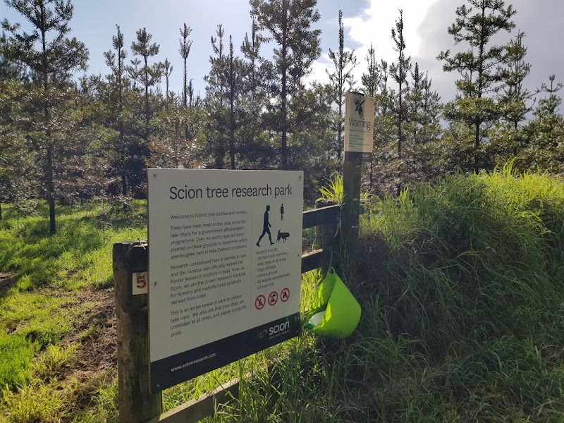 Scion tree research park in Rotorua, New Zealand