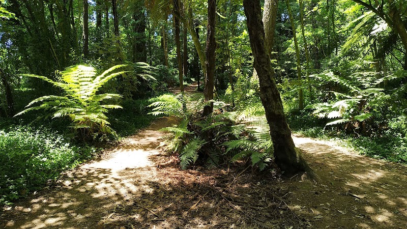 Scion tree research park in Rotorua, New Zealand