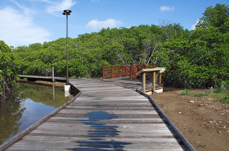 Sentier découverte de la mangrove in Nouméa, New Caledonia