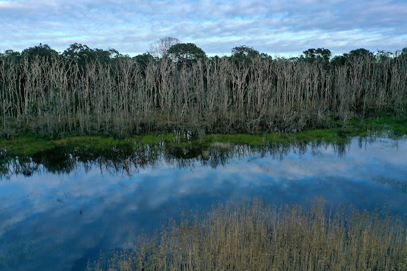 South D'Aguilar National Park in Brisbane, Australia