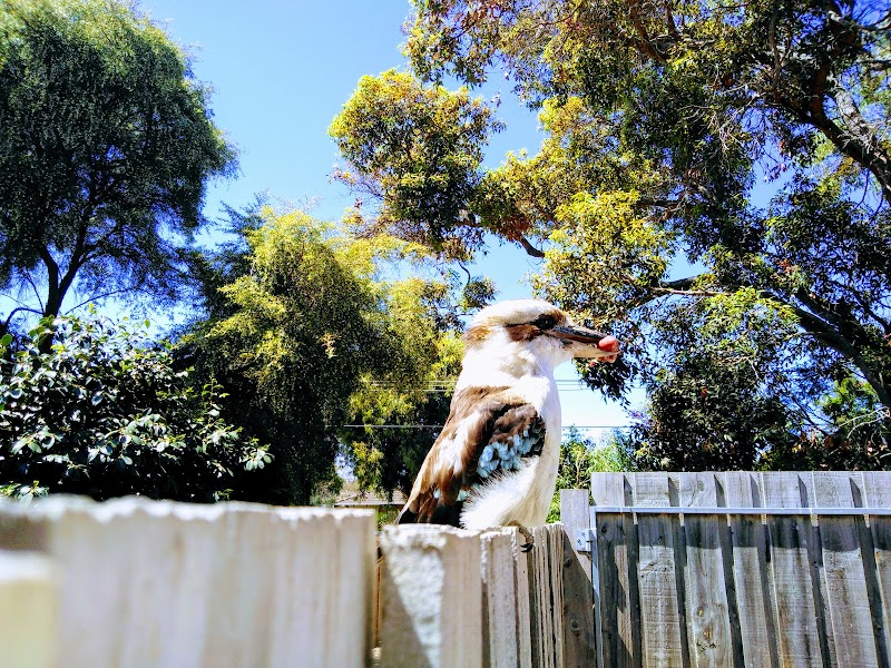 South Oakleigh Wildlife Shelter in Melbourne, Australia