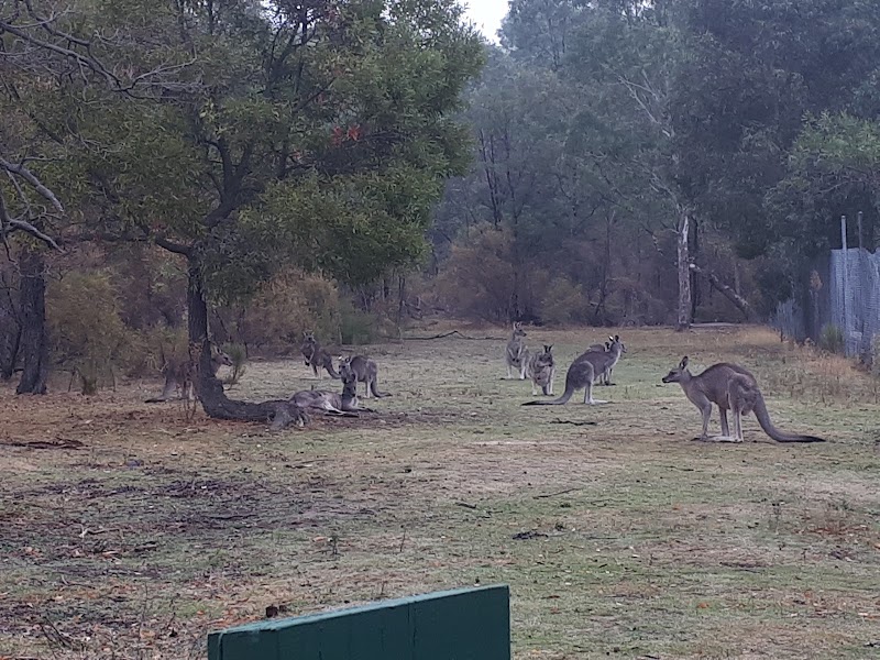 South Oakleigh Wildlife Shelter in Melbourne, Australia