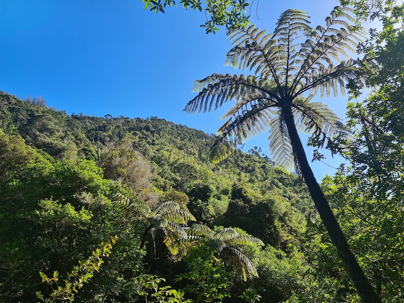 The Brook Waimarama Sanctuary in Nelson, New Zealand