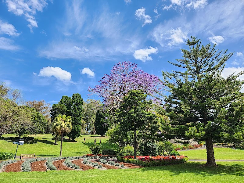 The Domain - Phillip Precinct in Sydney, Australia