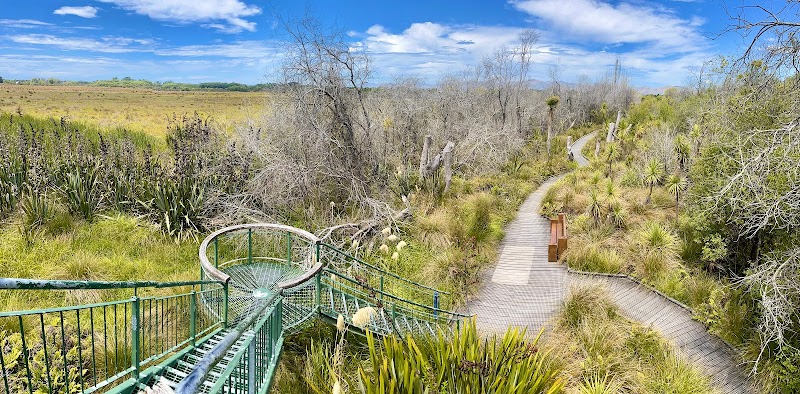 Travis Wetland Nature Heritage Park in Christchurch, New Zealand