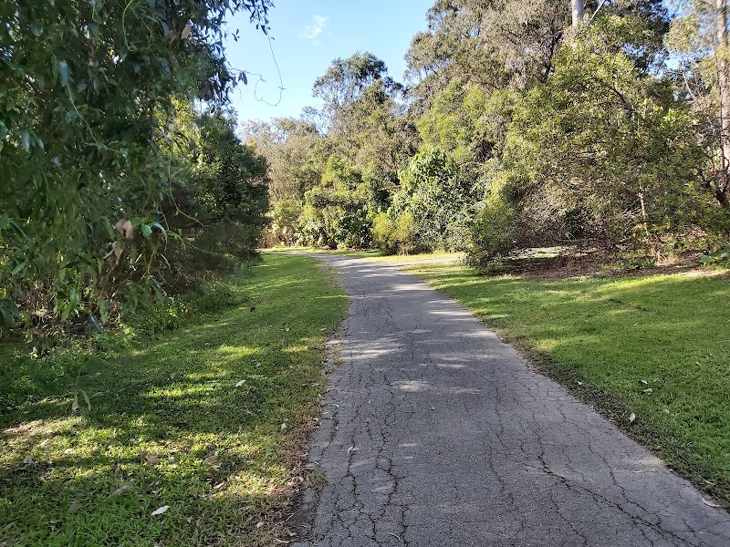 Varsity Lakes Wetlands Walking Track in Gold Coast, Australia