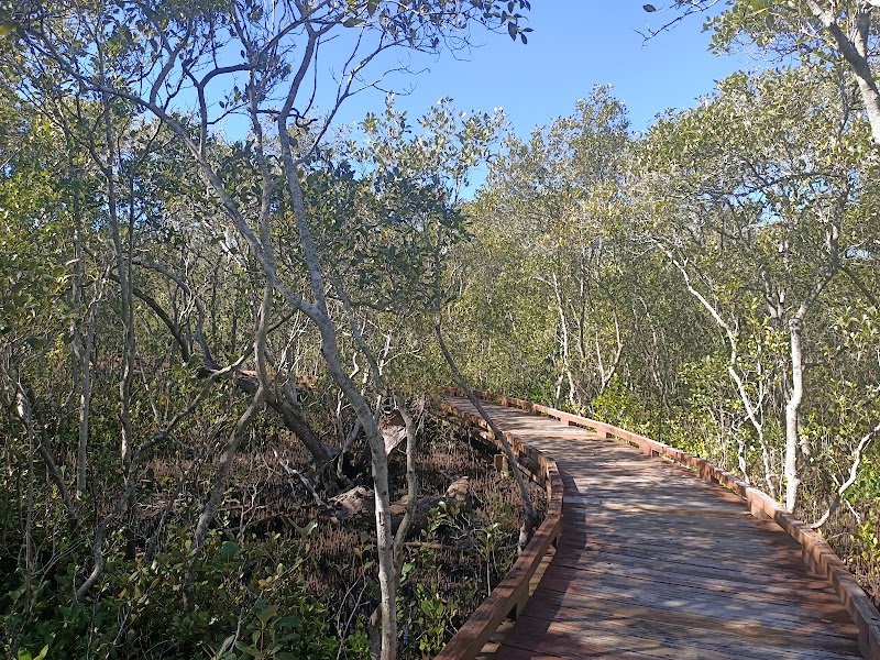 Varsity Lakes Wetlands Walking Track in Gold Coast, Australia