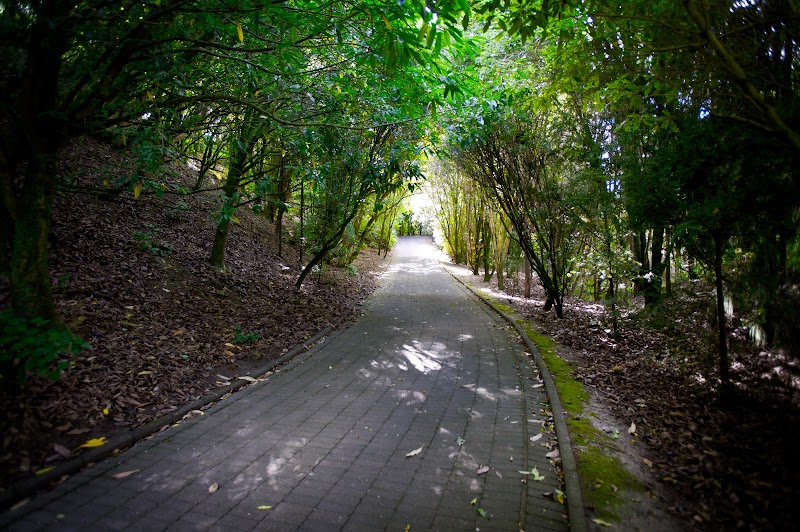 Waikato River Walk in Hamilton, New Zealand