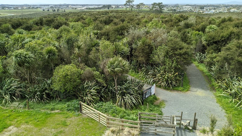 Waiwhakareke Natural Heritage Park in Hamilton, New Zealand