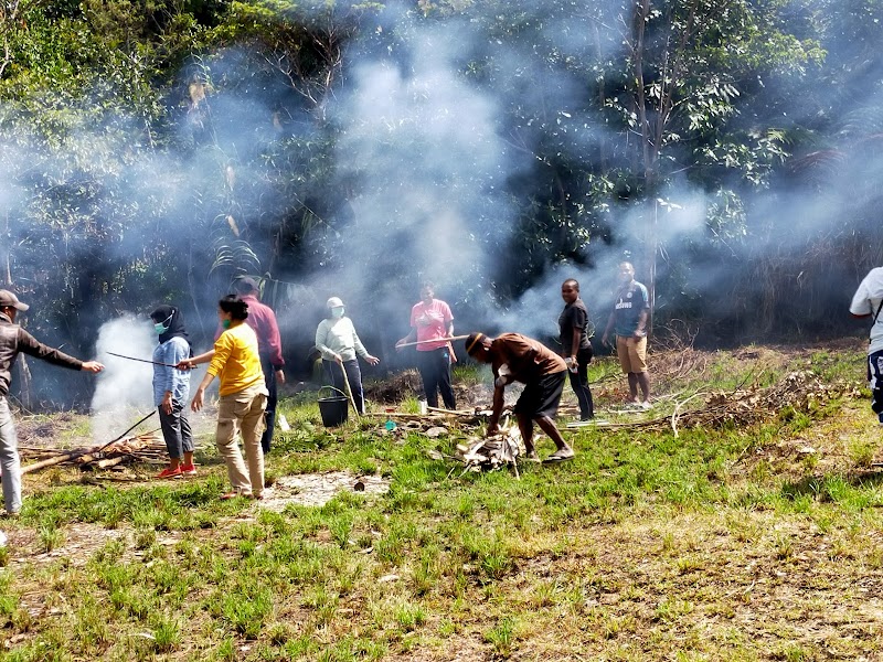 Foto apotek terdekat di Kab. Tolikara