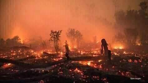 Foto Pom Bensin terdekat di Kab. Barito Timur