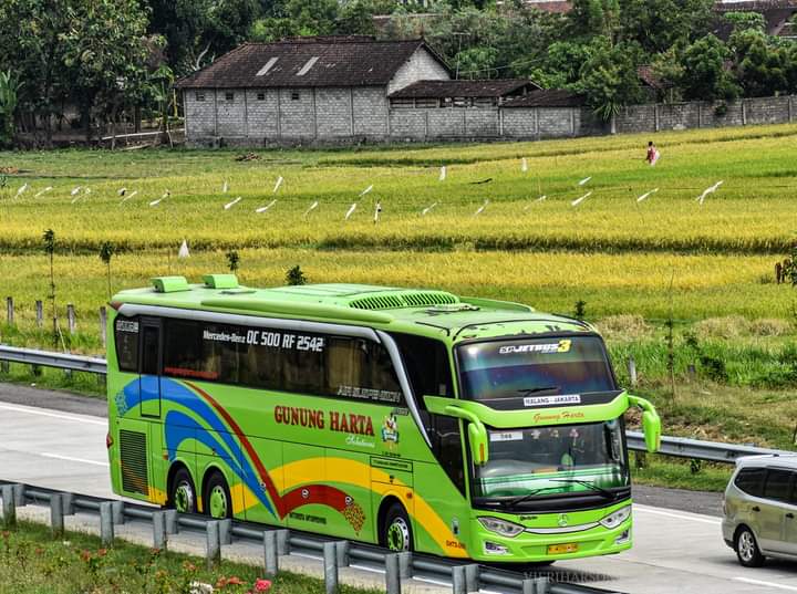 Agen Bus (1) terbaik di Kab. Malang