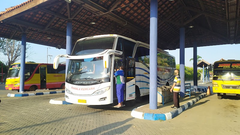 Agen Bus (1) terbaik di Kota Pasuruan