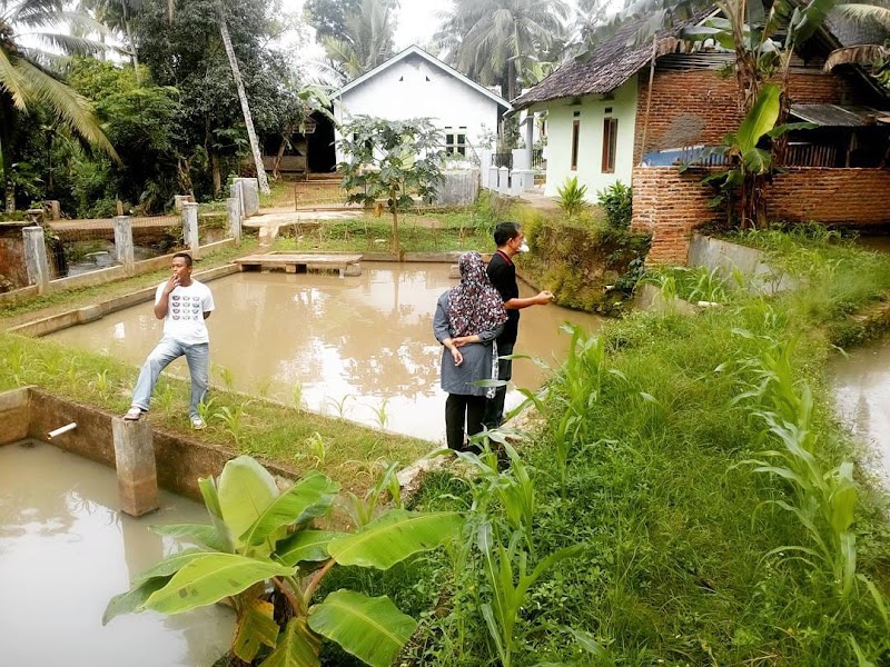 Agen Properti (1) terbaik di Kab. Pandeglang