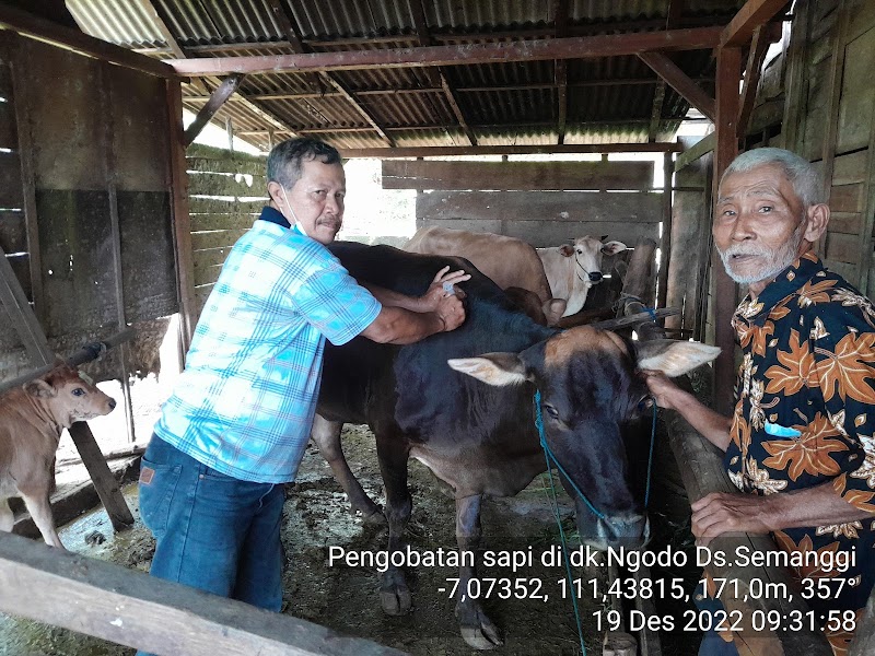 Dokter Hewan (1) terbaik di Kab. Blora