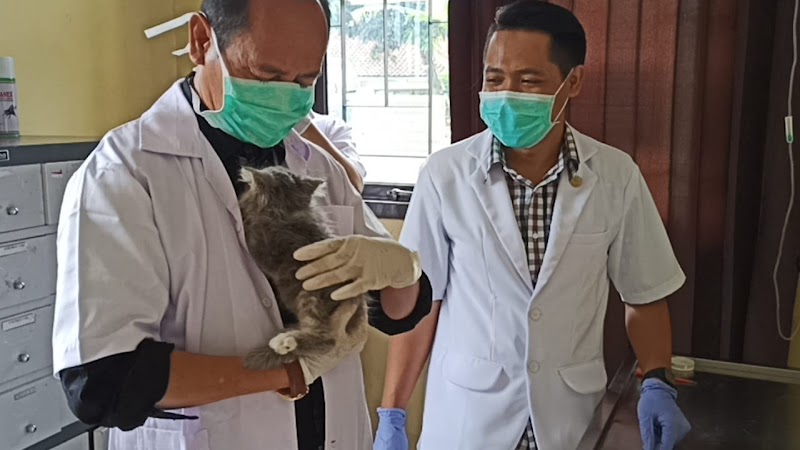 Dokter Hewan (1) terbaik di Kab. Garut