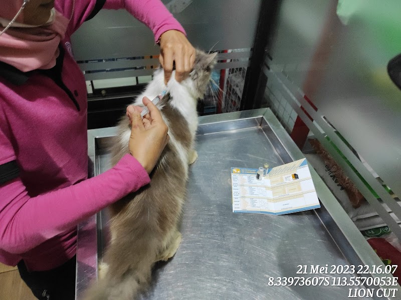 Dokter Hewan (1) terbaik di Kab. Jember