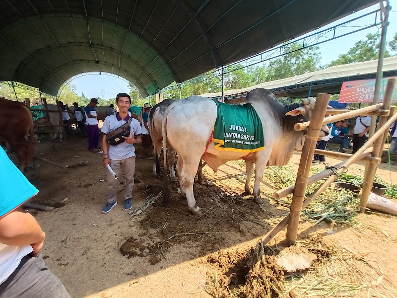 Dokter Hewan (1) terbaik di Kab. Jepara