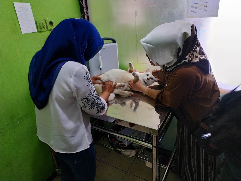 Dokter Hewan (1) terbaik di Kab. Mojokerto