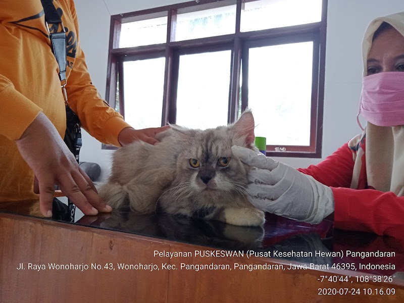 Dokter Hewan (1) terbaik di Kab. Pangandaran