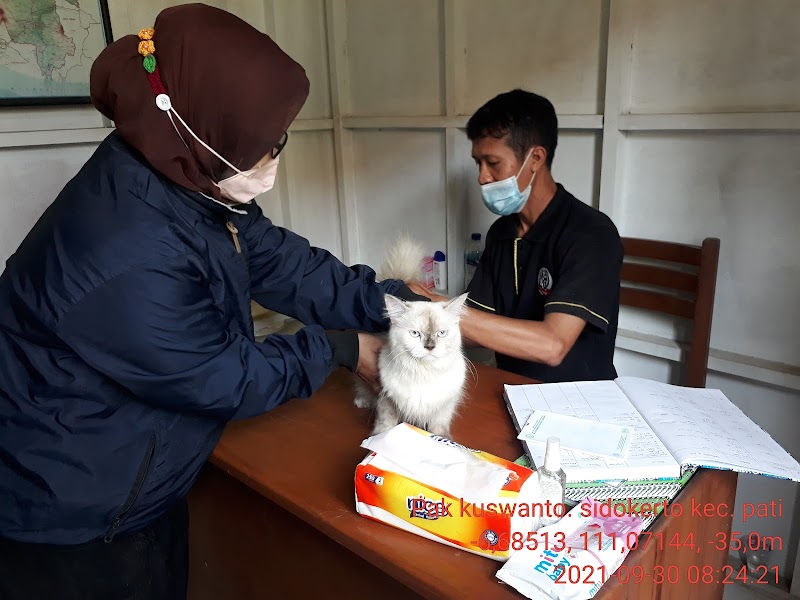 Dokter Hewan (1) terbaik di Kab. Pati