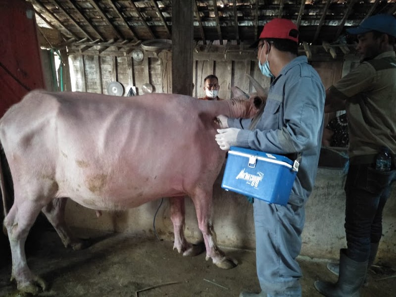 Dokter Hewan (1) terbaik di Kab. Rembang