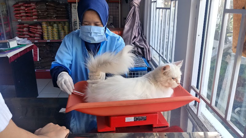 Dokter Hewan (1) terbaik di Kab. Sumedang