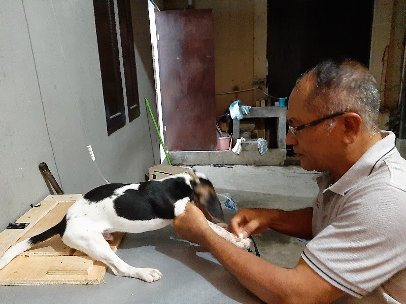 Dokter Hewan (1) terbaik di Kota Manado