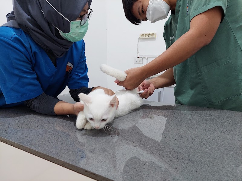 Dokter Hewan (1) terbaik di Kota Palembang