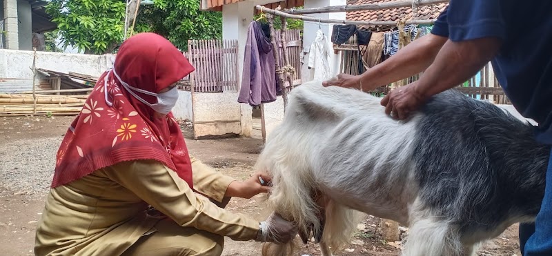 Dokter Hewan (1) terbaik di Kota Pasuruan