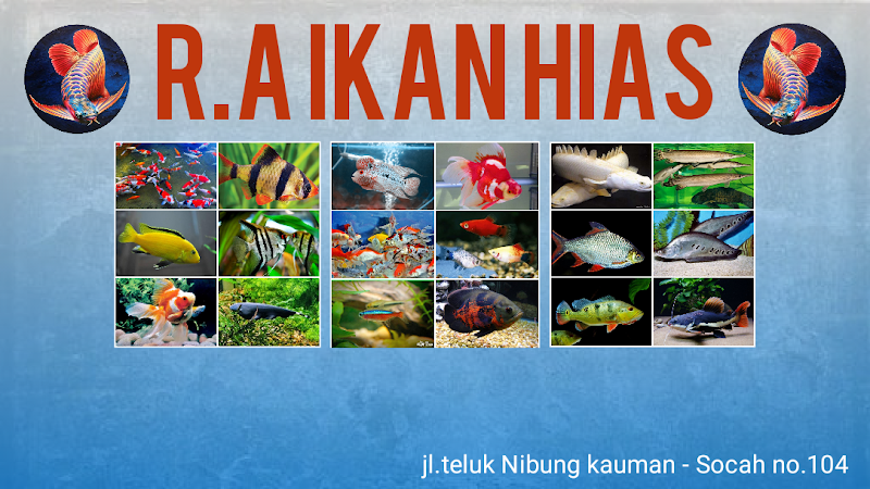 Toko Aquarium (1) terbaik di Kab. Bangkalan