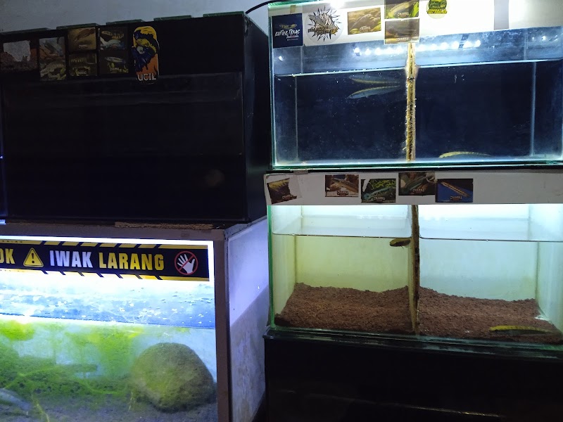 Toko Aquarium (1) terbaik di Kab. Malang