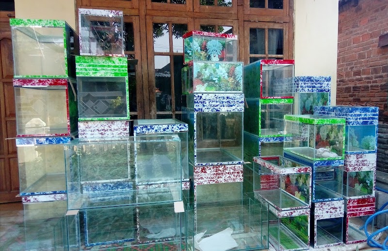 Toko Aquarium (1) terbaik di Kab. Nganjuk