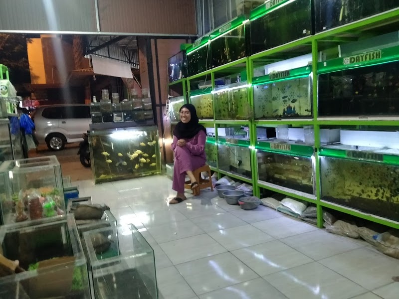 Toko Aquarium (1) terbaik di Kab. Purworejo