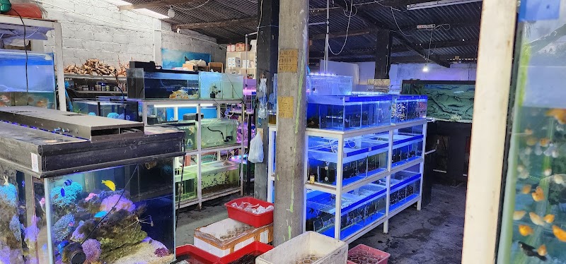 Toko Aquarium (1) terbaik di Kab. Temanggung