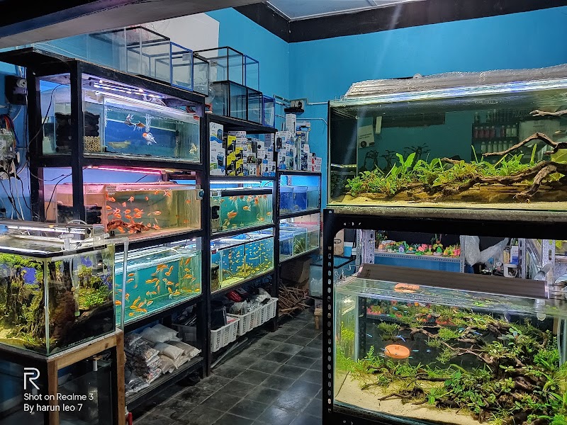 Toko Aquarium (1) terbaik di Kab. Wonogiri