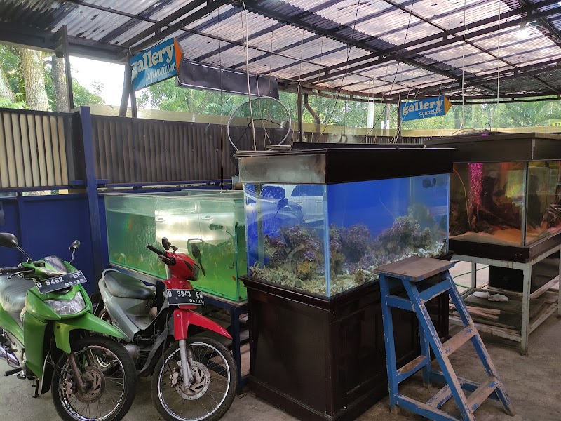 Toko Aquarium (1) terbaik di Kota Bandung