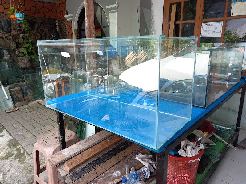 Toko Aquarium (1) terbaik di Kota Bekasi