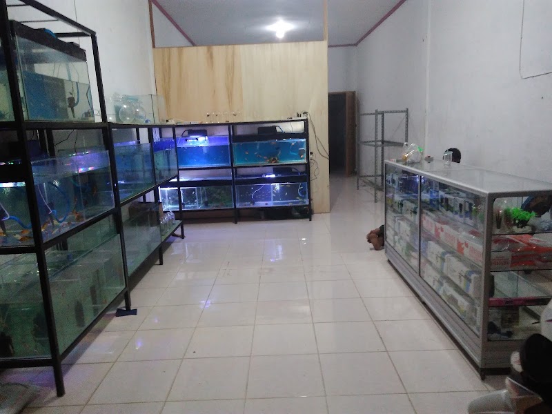 Toko Aquarium (1) terbaik di Kota Padang