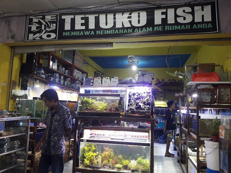 Toko Aquarium (1) terbaik di Kota Pasuruan