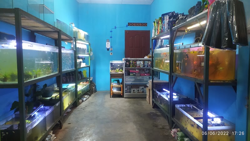 Toko Aquarium (1) terbaik di Kota Salatiga