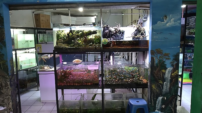 Toko Aquarium (1) terbaik di Kota Sukabumi