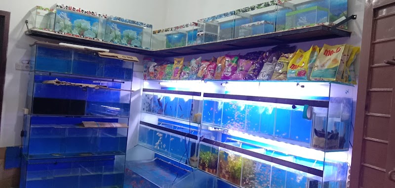 Toko Aquarium (2) terbaik di Kab. Batang