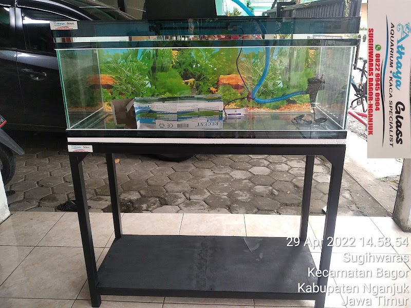 Toko Aquarium (2) terbaik di Kab. Nganjuk