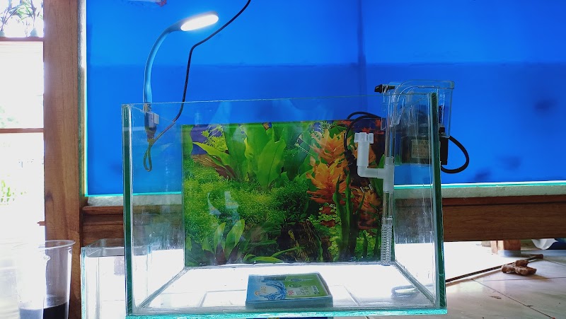 Toko Aquarium (2) terbaik di Kab. Ngawi