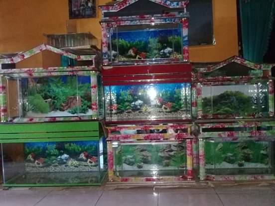 Toko Aquarium (2) terbaik di Kab. Rembang