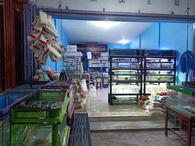 Toko Aquarium (2) terbaik di Kab. Sragen