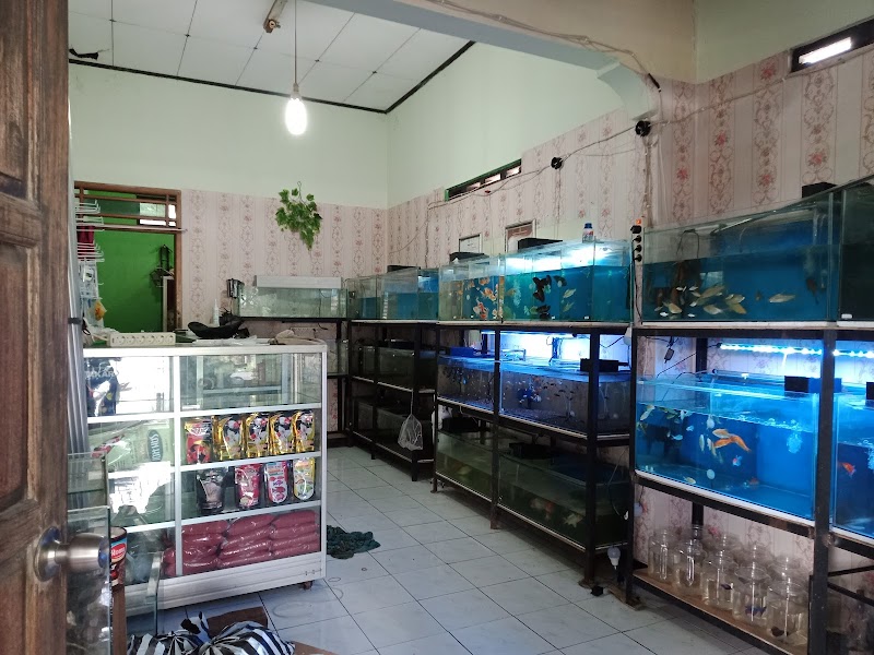 Toko Aquarium (2) terbaik di Kab. Sukoharjo